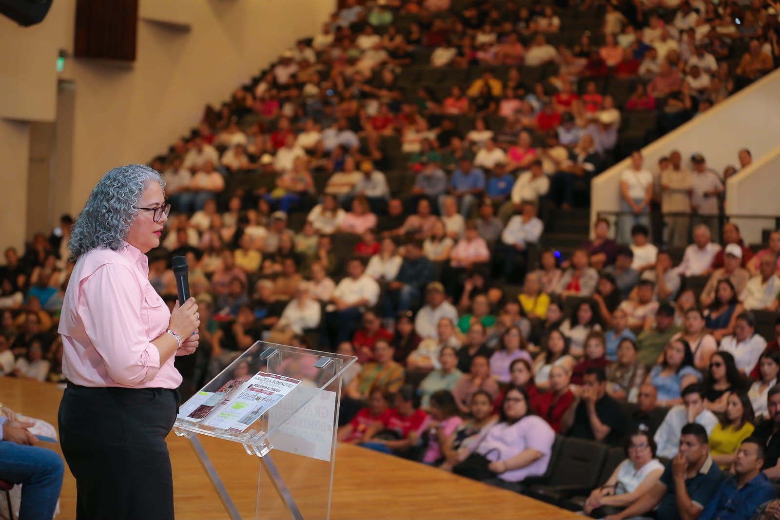Solicita licencia Graciela Domínguez como diputada federal, la próxima semana se registra para la Coordinación Estatal para la Defensa de la Cuarta Transformación