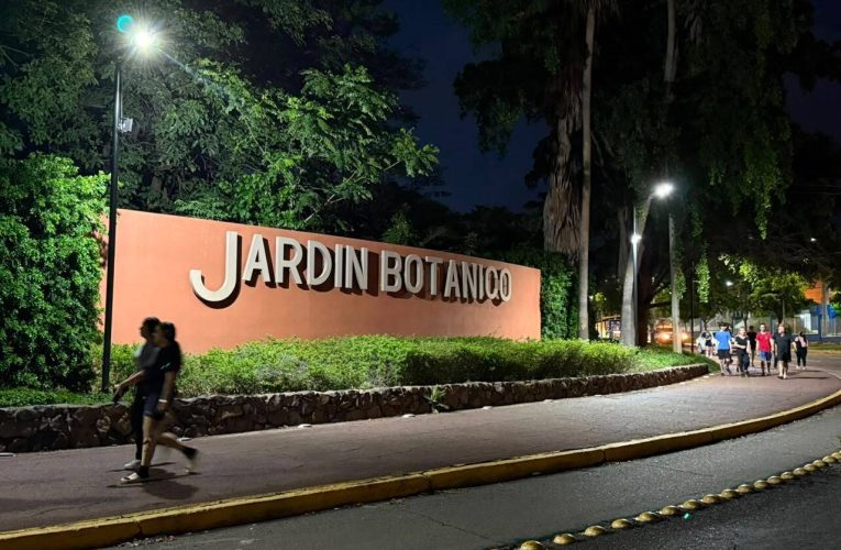 Ayuntamiento de Culiacán da atención inmediata a alumbrado público en el sector del Jardín Botánico