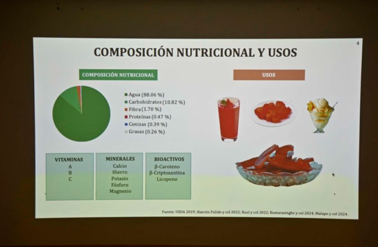 Investigadora de la UAS busca revolucionar la industria alimentaria con harina de lenteja fermentada, para combatir la diabetes y el colesterol